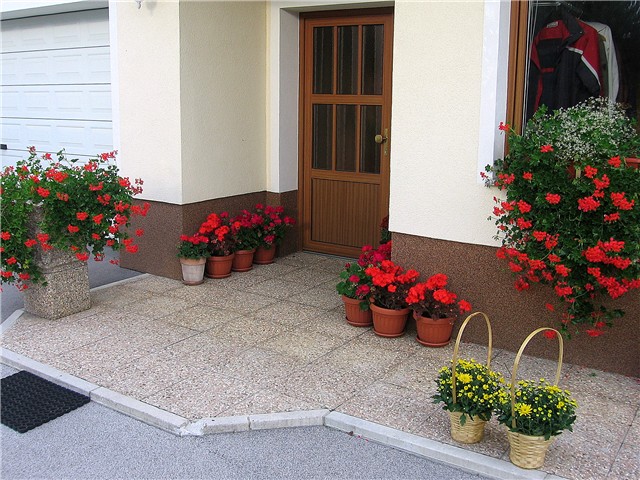 pelargonije